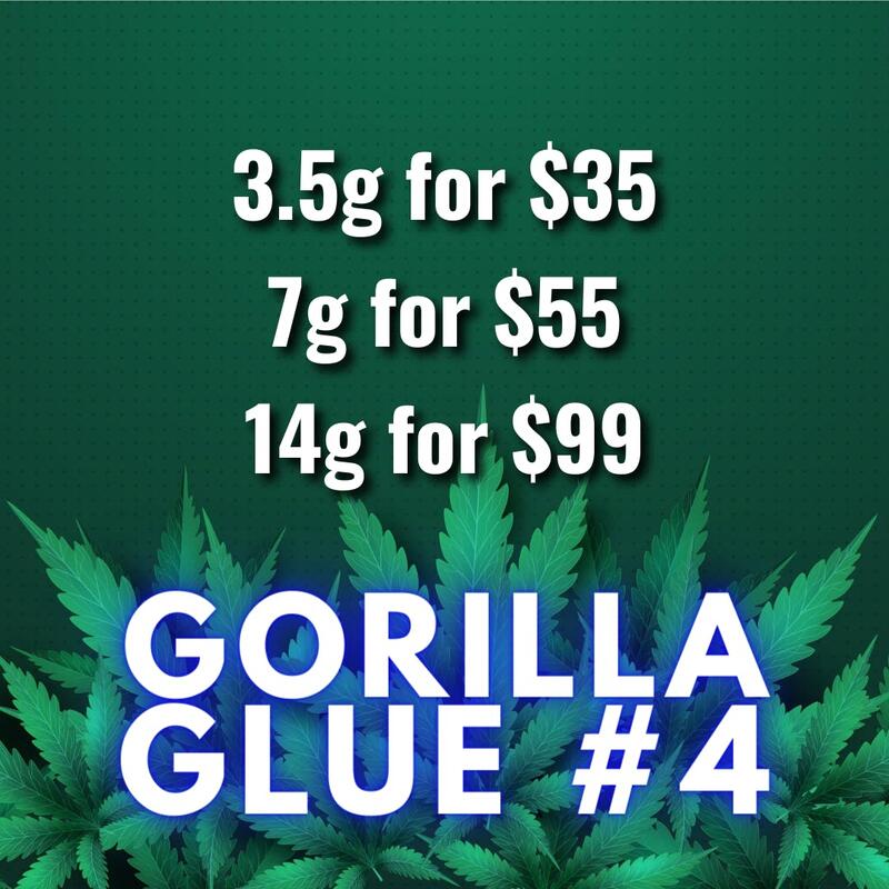 Gorilla Glue #4 - Flower
