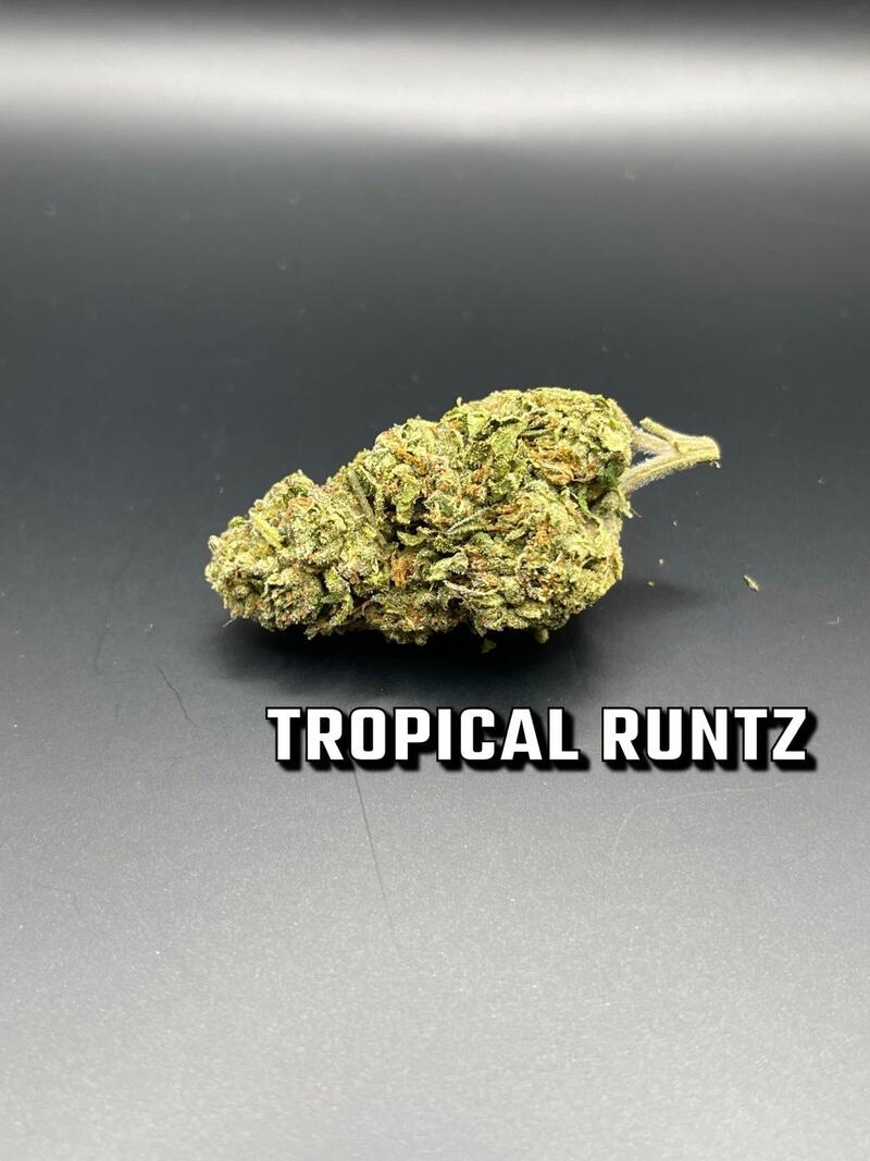 Tropical Runtz $65 OZ