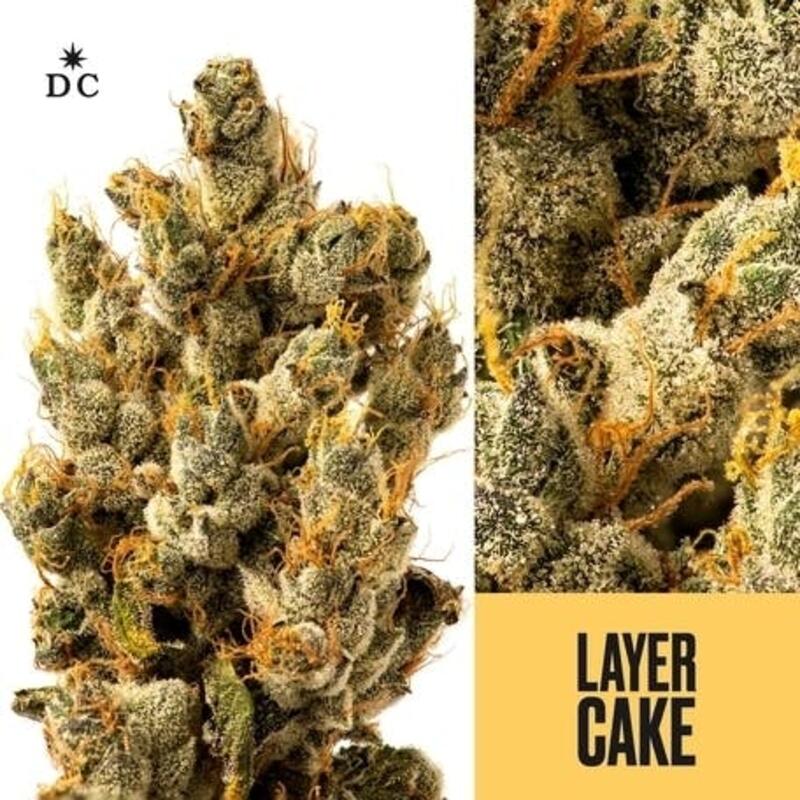Layer Cake (SALE)