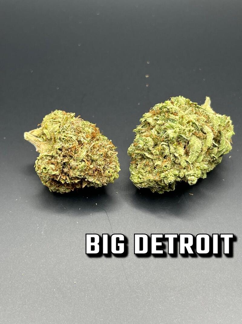 Big Detroit