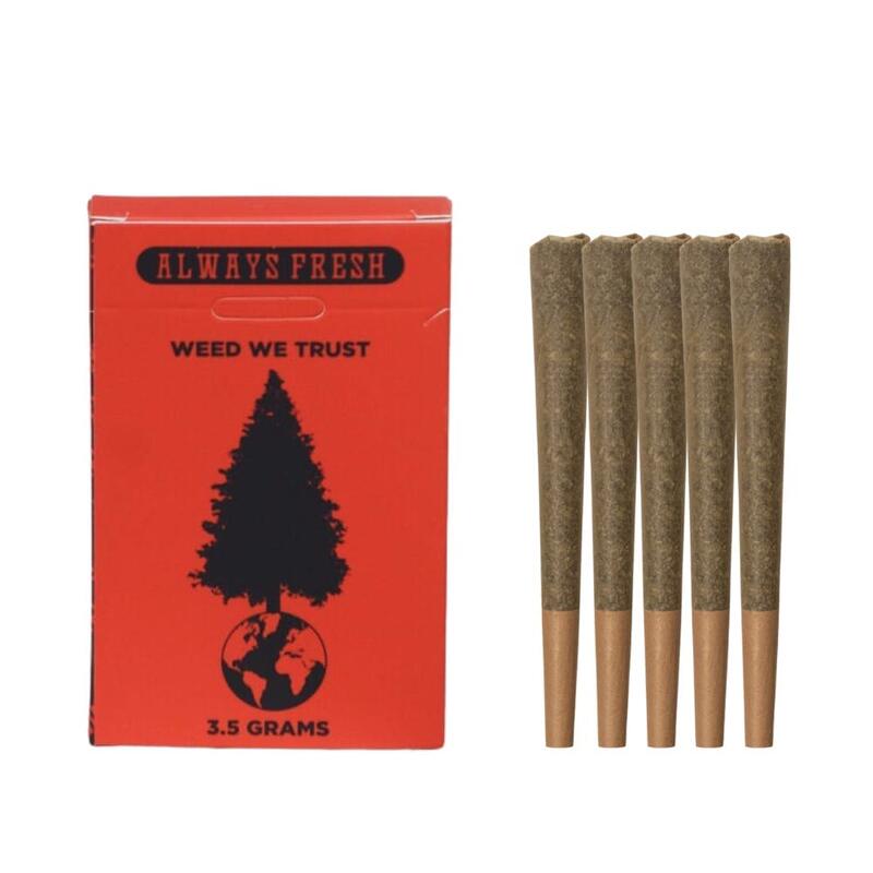 Big Tree - White Chocolate - 3.5g Pre Roll Pack (5pk) - .7g 5 Pack PR Indica