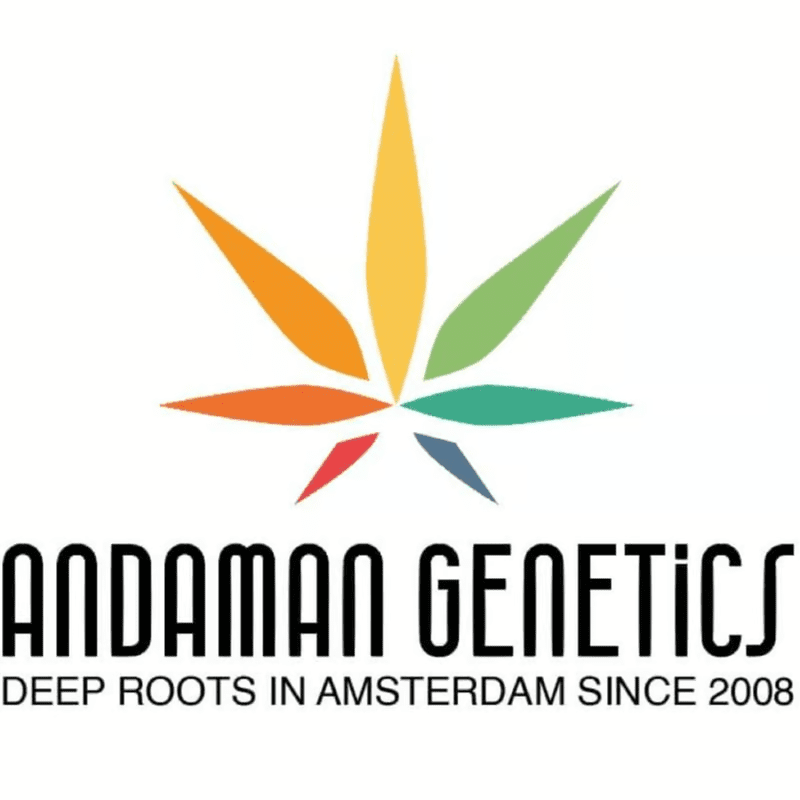 Andaman Genetics