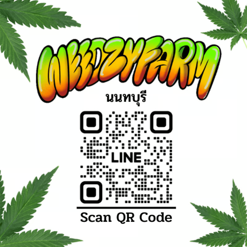 WeedzyFarm Cannabis Shop
