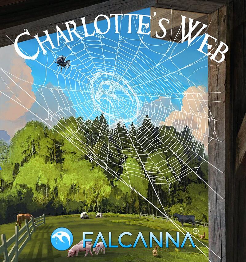 Falcanna - CBD Charlotte's Web 1g