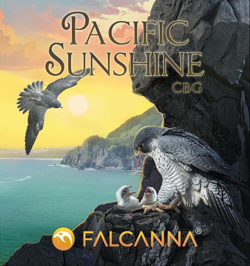 Falcanna - CBG Pacific Sunshine Sugar Trim 7g