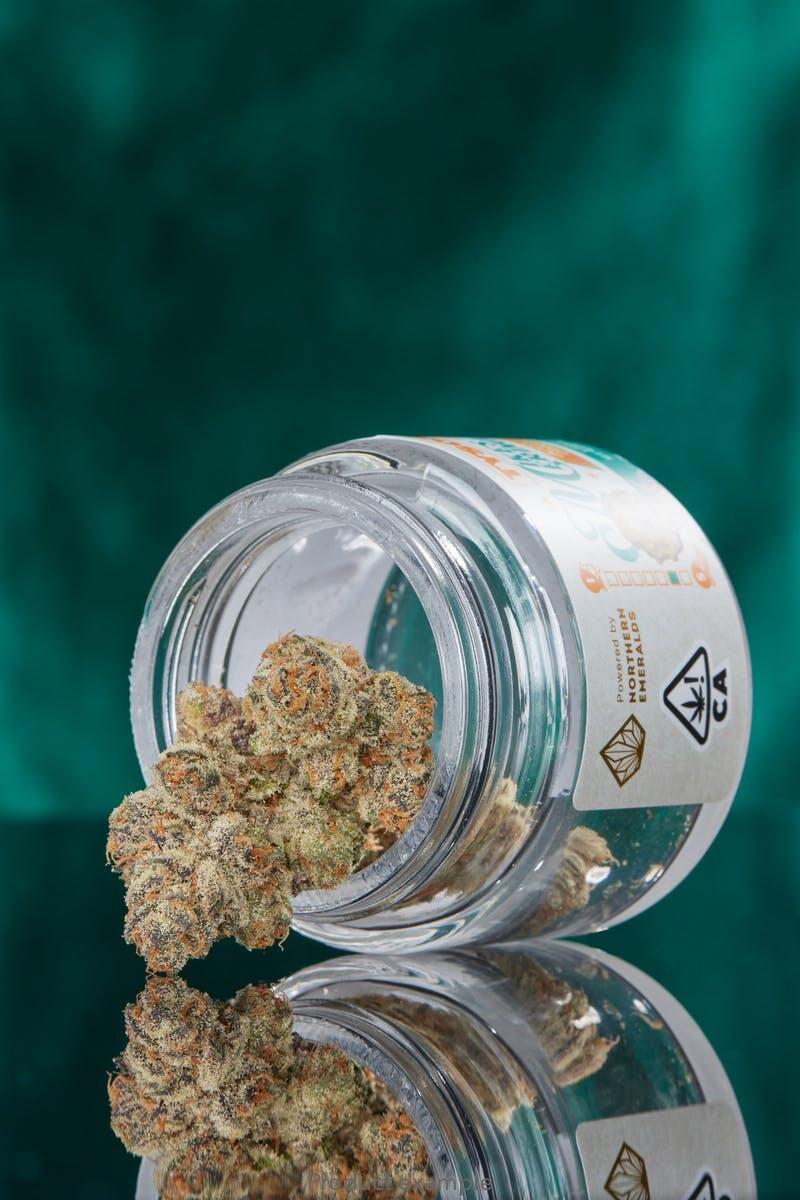 Black Crow Grow | PINEAPPLE EXPRESS | Ounce Special | 28g | S