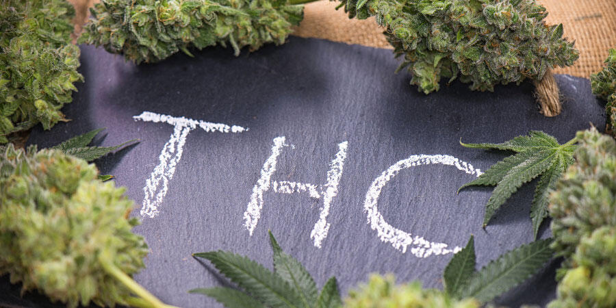 THC Detox Unveiled: Myths, Realities and Navigating the Journey