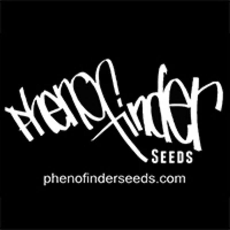 Phenofinder Seeds