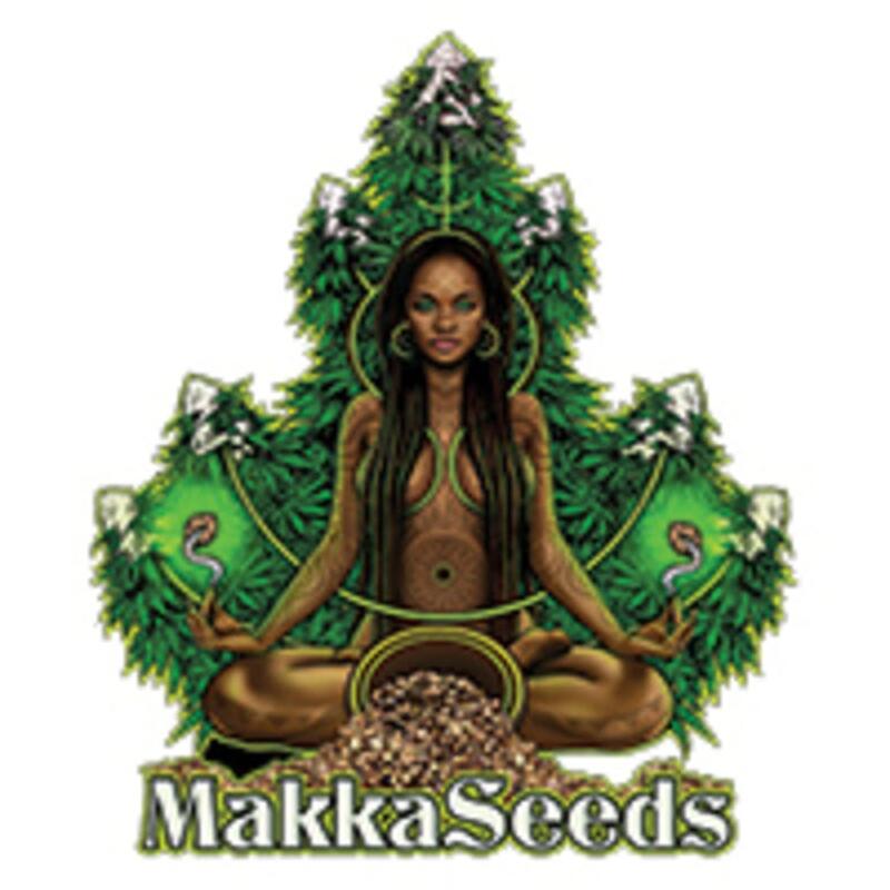 Makka Seeds
