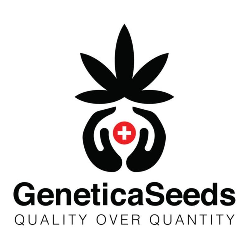Genetica Seeds