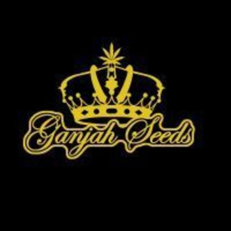 Ganjah Seeds Bank