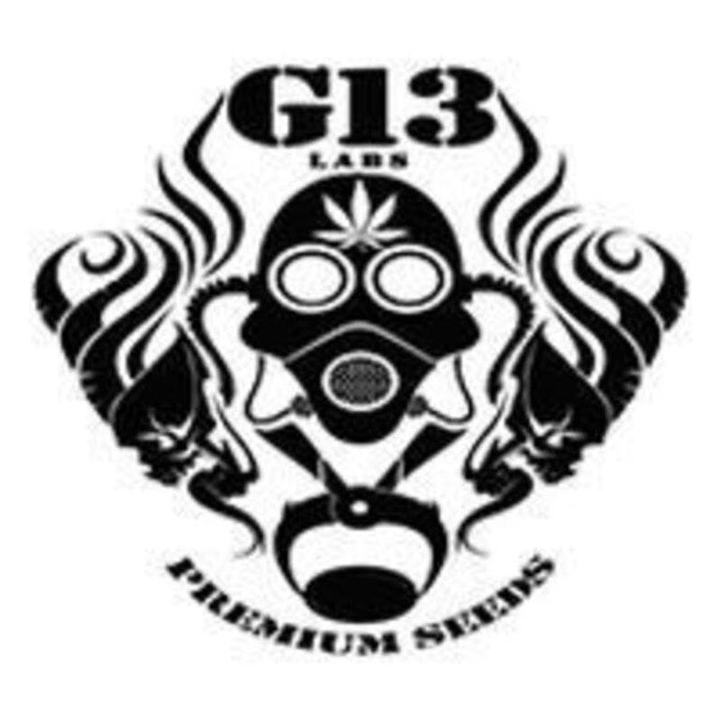 G13 Labs