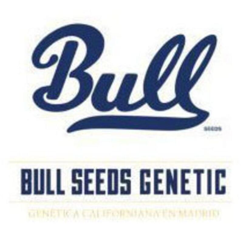 Bull Seeds Genetics