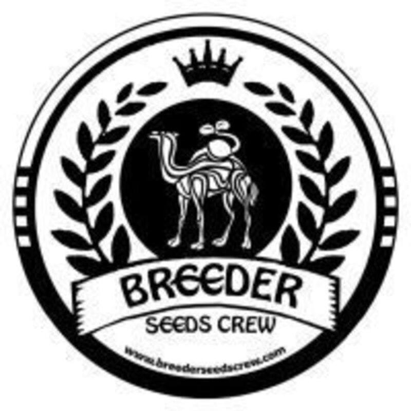 Breeder Seeds Crew