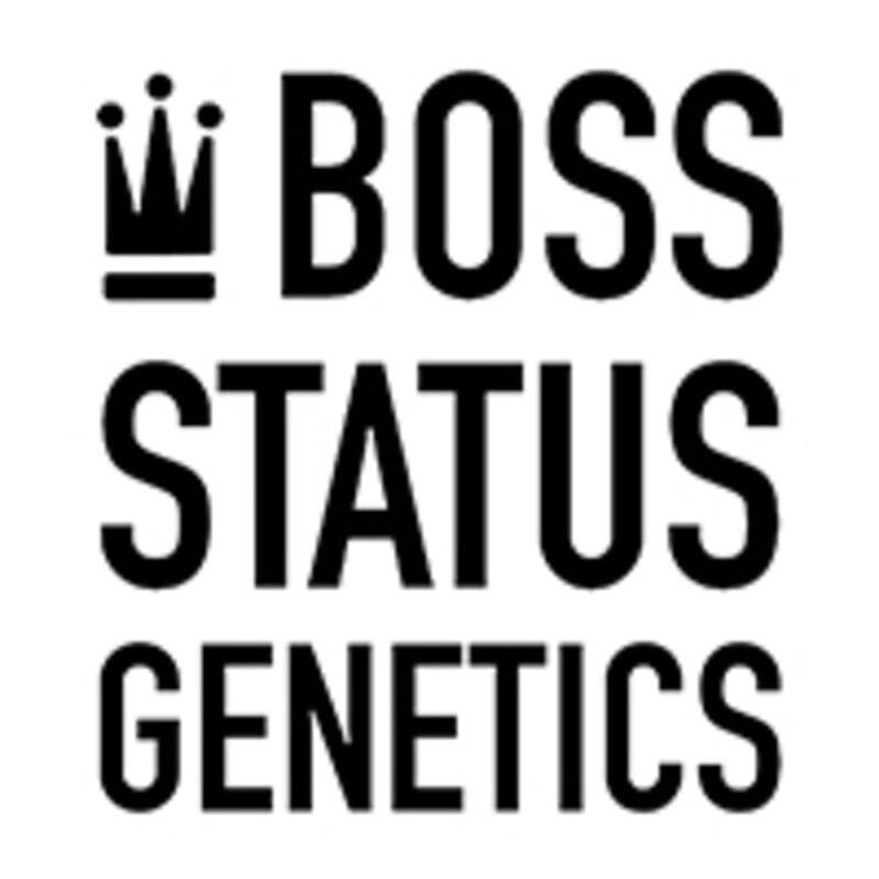 Boss Status Genetics