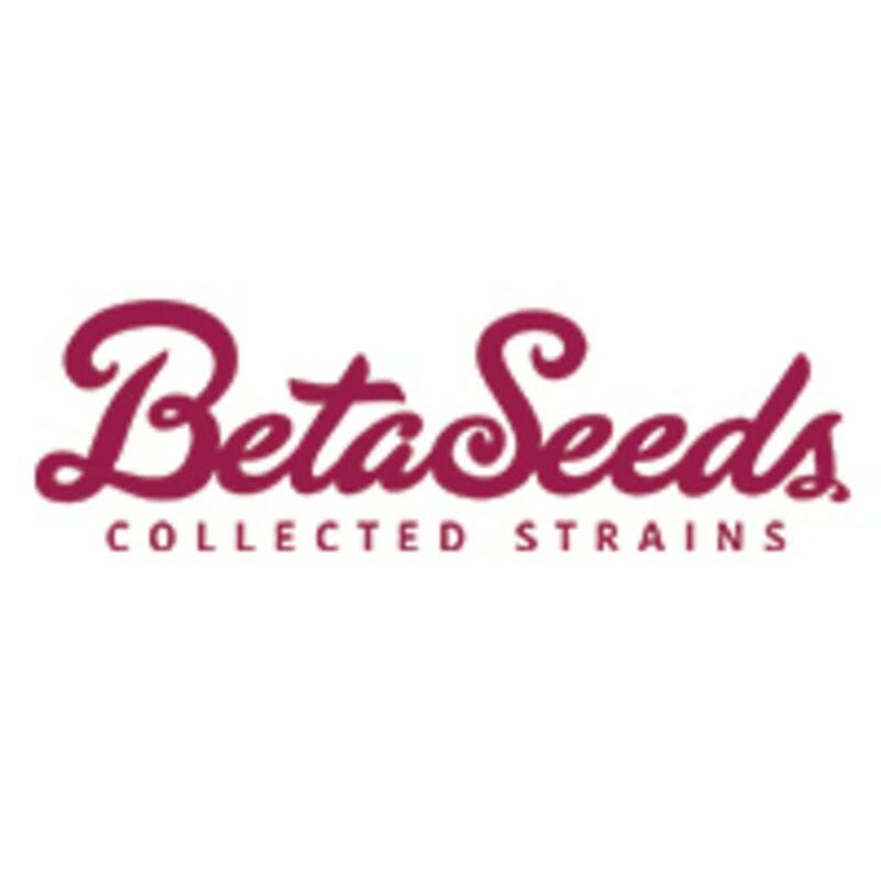 Beta Seeds Bank