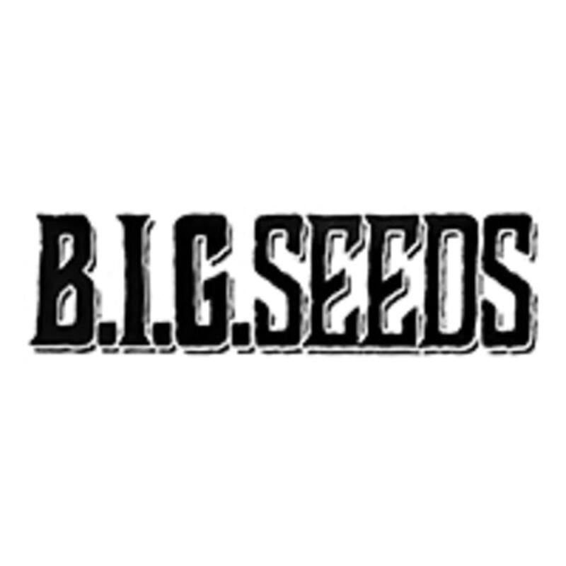 B.I.G Seeds