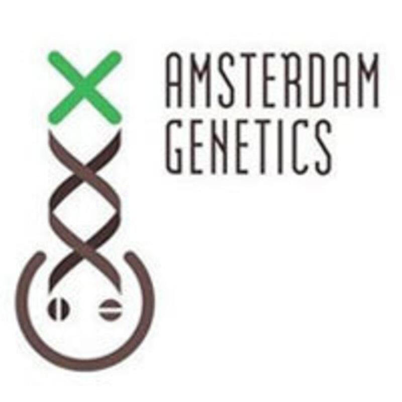 Amsterdam Genetics
