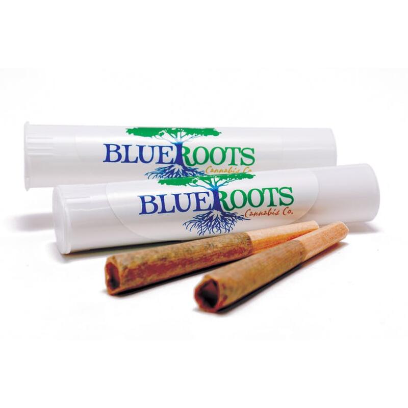 Blue Roots Cannabis Trainwreck  Pre-Roll