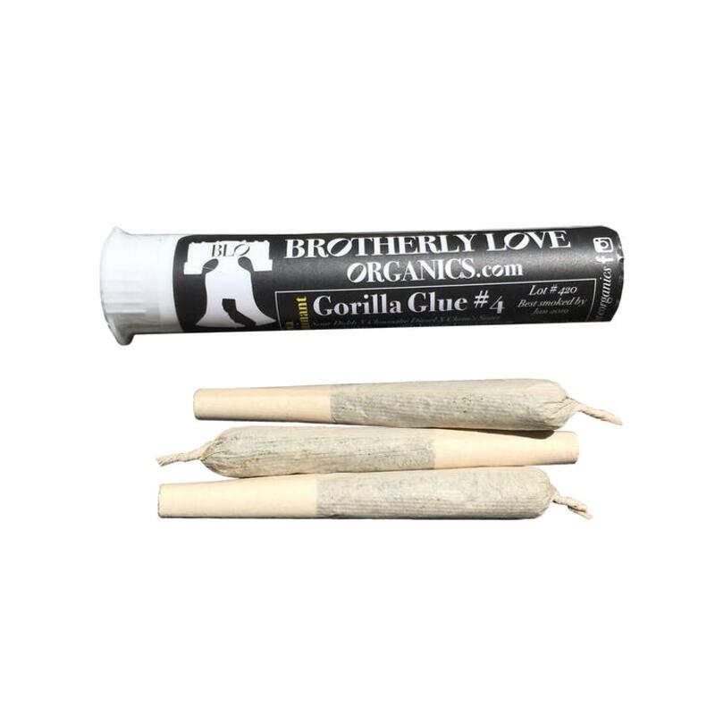 3-Pack Premium Joints - Gorilla Glue #4