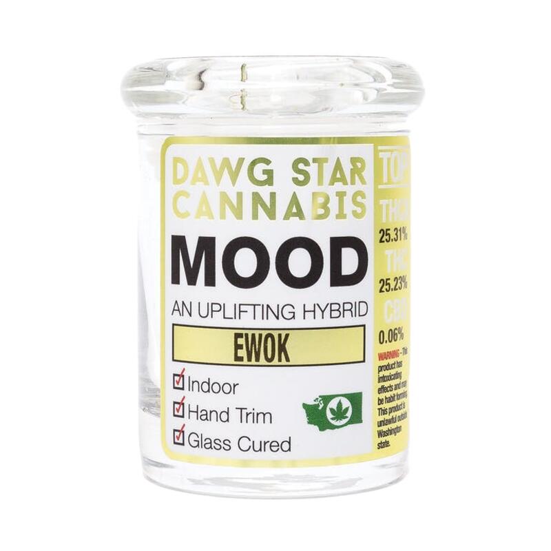 EWOK - Mood Indoor