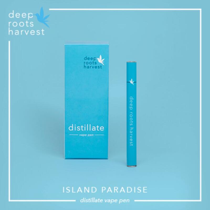 Island Paradise Disposable
