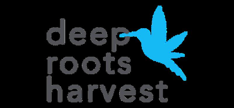 Deep Roots Harvest | Elmer's Haze 3pk Pre-Rolls(1.8g)
