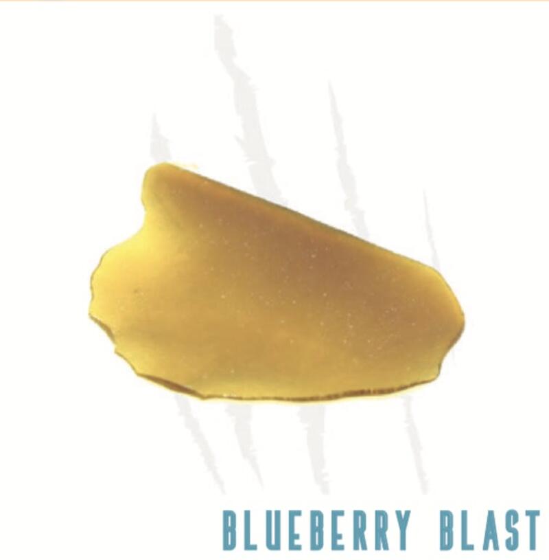 Premium Shatter - Blueberry Blast