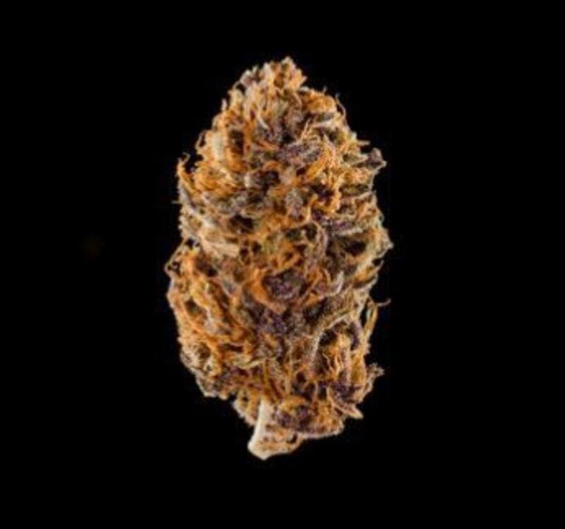 $50 - Treasure - Purple Frost Genetics - THC 14.6%