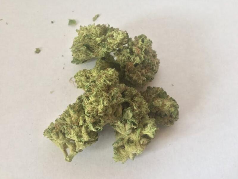 Kong ***Limited*** Indica