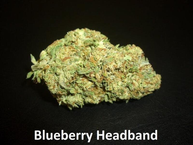 Blue Berry HeadBand (TOP SHELF)