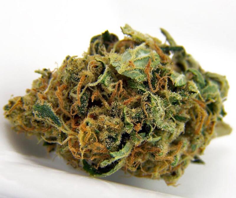 Jack Frost (5G FOR 50)