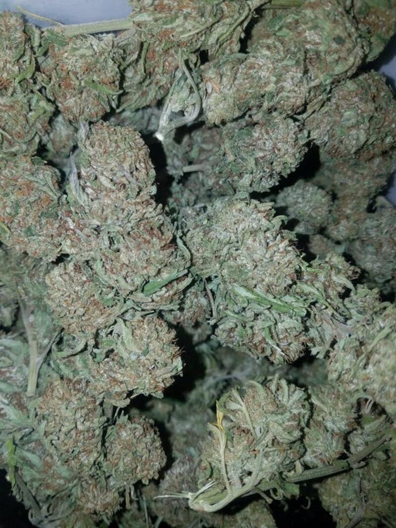 ***$120 oz SPECIAL *** Monster Cookies (Greenhouse)