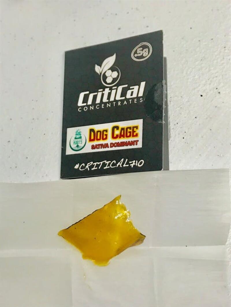 CRITICAL EXTRACTS: DOG CAGE SHATTER