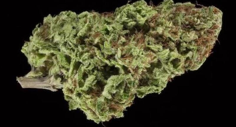 Big Bud Private Reserve (Special 10G $99)