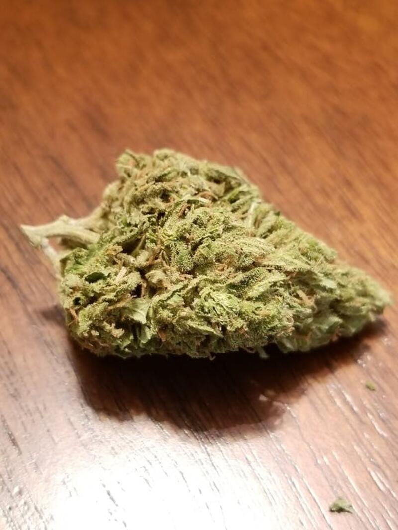 SPECIAL!!! Northern Lights