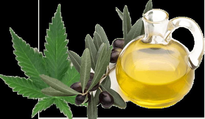 LITTLE BRITTON'S* Olive Oil (200mg CBD / 40mg THC)