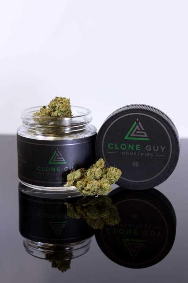 Clone Guy OG **EXCLUSIVE**