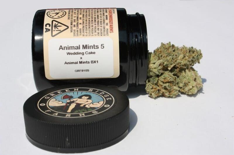 Animal Mints #5 - Green Ridge Farms