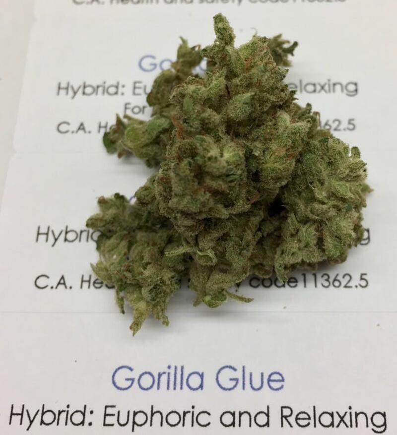 BOGO Gorilla Glue #4 (outdoors)