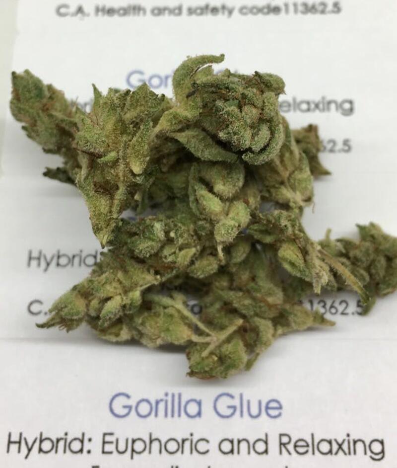 BOGO Gorilla Glue #4 (Smallies)