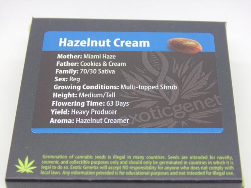 Exoticgenetix Hazelnut Cream