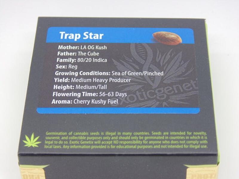 Exoticgenetix Trap Star
