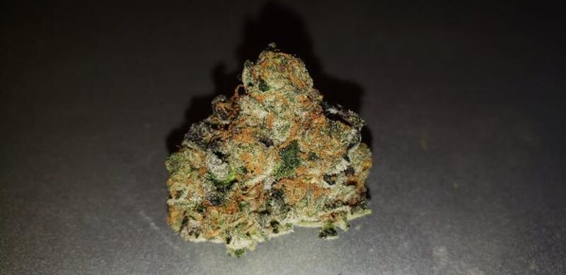 Girl Scout Cookies (Forum Cut) (Back in Stock)