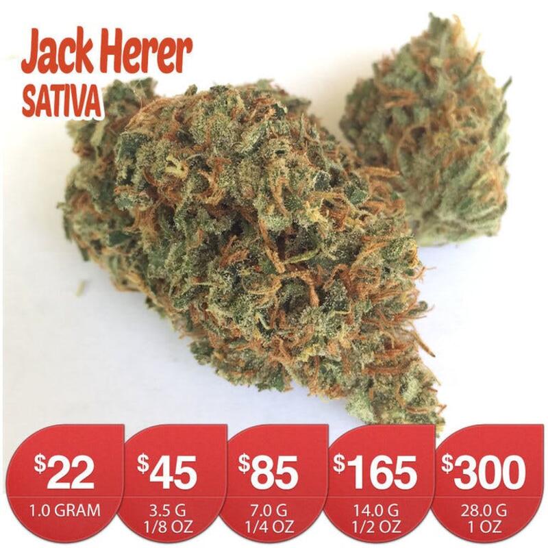 Jack Herer - SALE