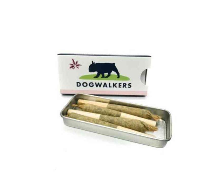 Dogwalker 4-Pack - Caliva