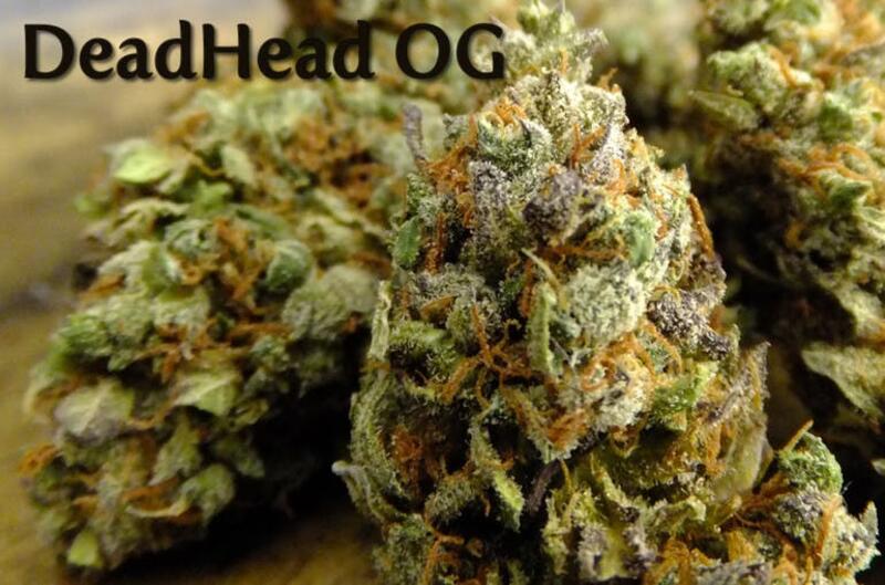 DEAD HEAD OG. 31.6% THC , 2.3% CBD OUT