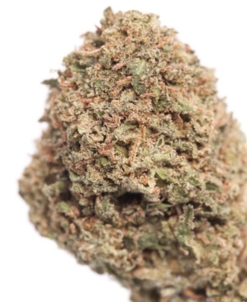 Daily Deal - TrainWreck