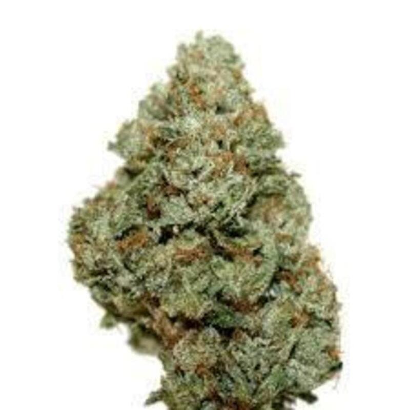 Excellent Godfather OG seed feminized can help reliving Amyotrophic Lateral Sclerosis (ALS)