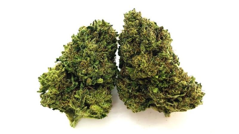 Durban Poison Organic Greenhouse - Just In!